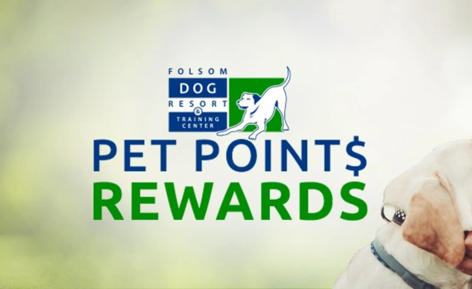 Folsom Dog Resort & Training Center - Loyalty Rewards
